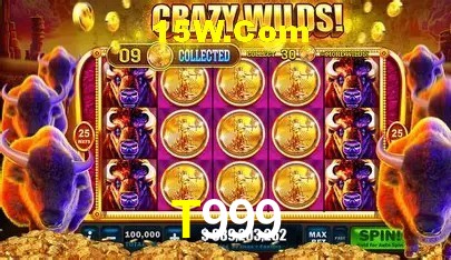 Suporte prioritário e eventos VIP